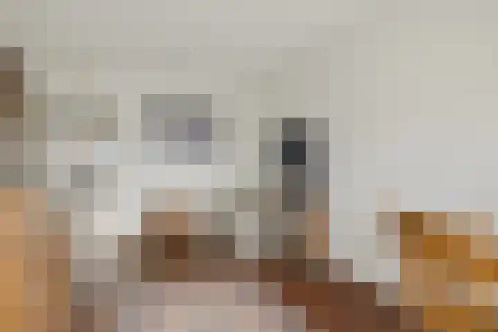 Silodam 199 Amsterdam thumbnail 17