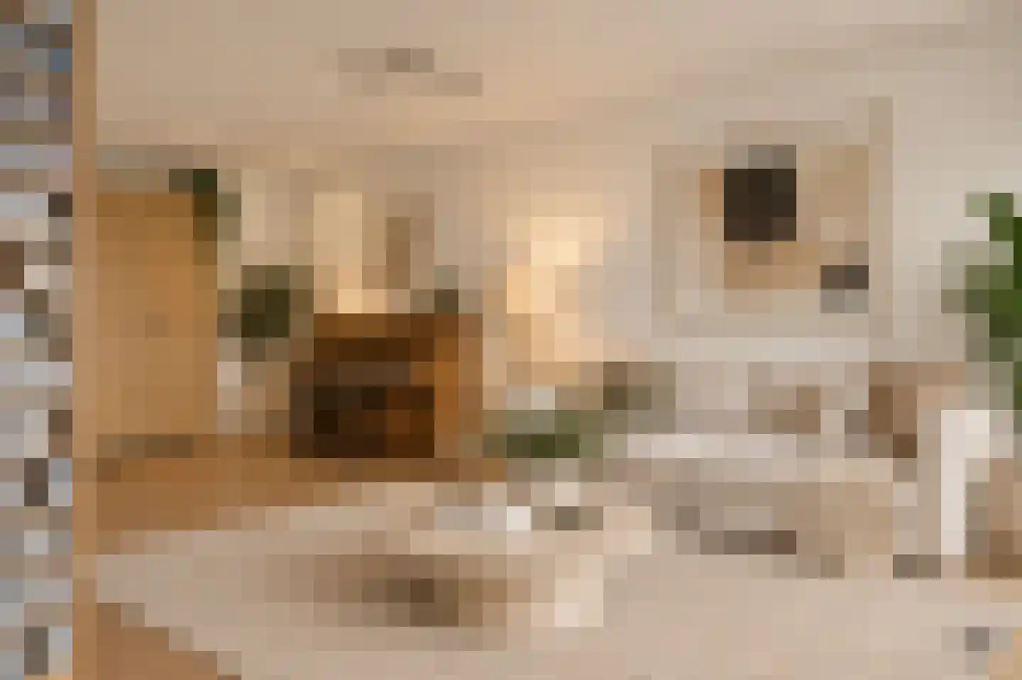 Silodam 199 Amsterdam thumbnail 18
