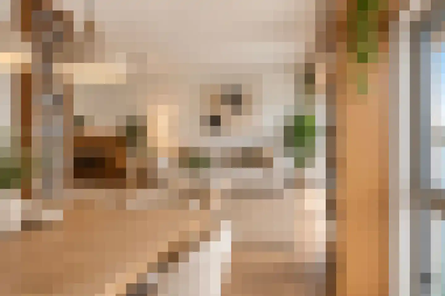 Silodam 199 Amsterdam thumbnail 20
