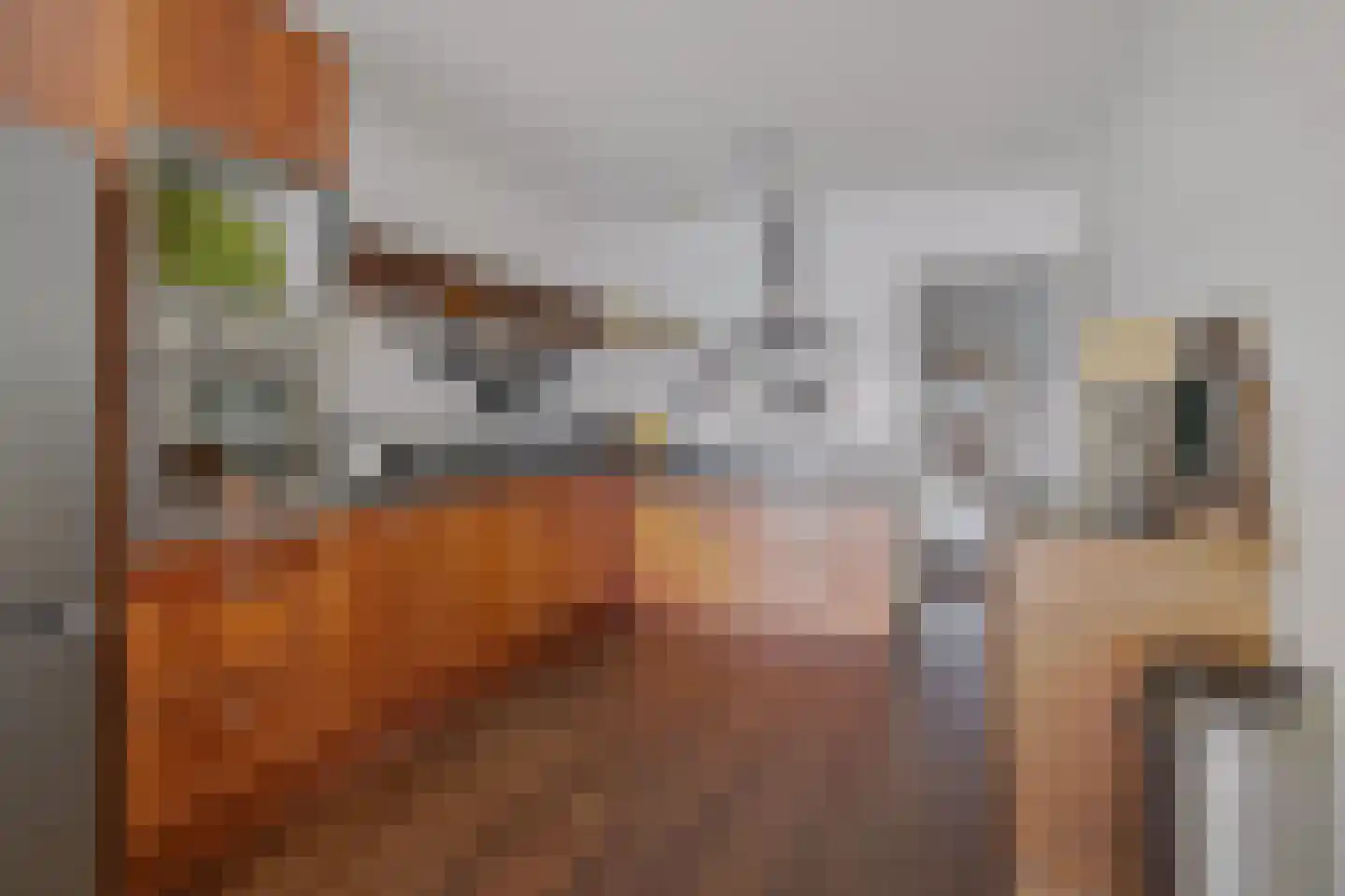 Silodam 199 Amsterdam thumbnail 5