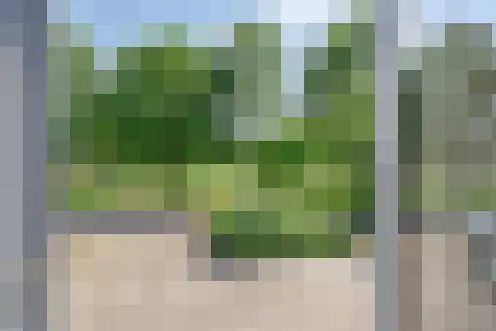 Silodam 218 Amsterdam thumbnail 4