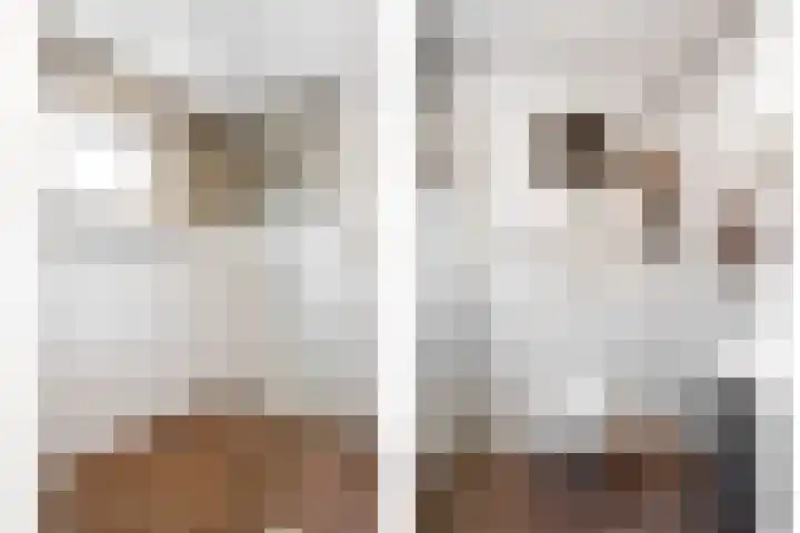 Silodam 218 Amsterdam thumbnail 9