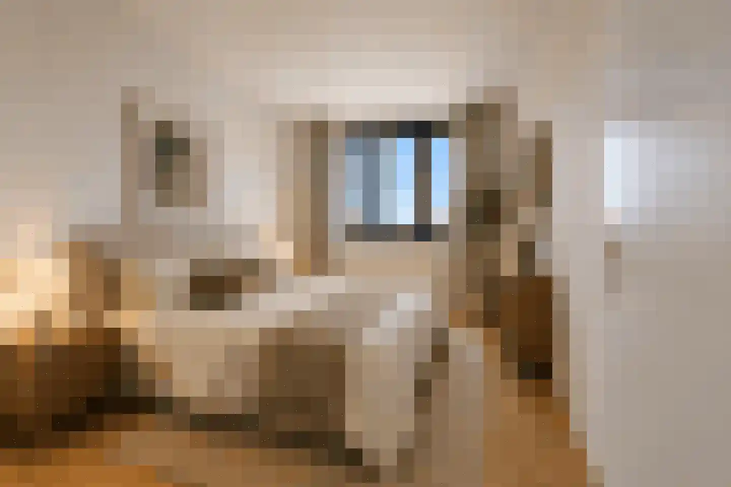Silodam 219 A Amsterdam thumbnail 4
