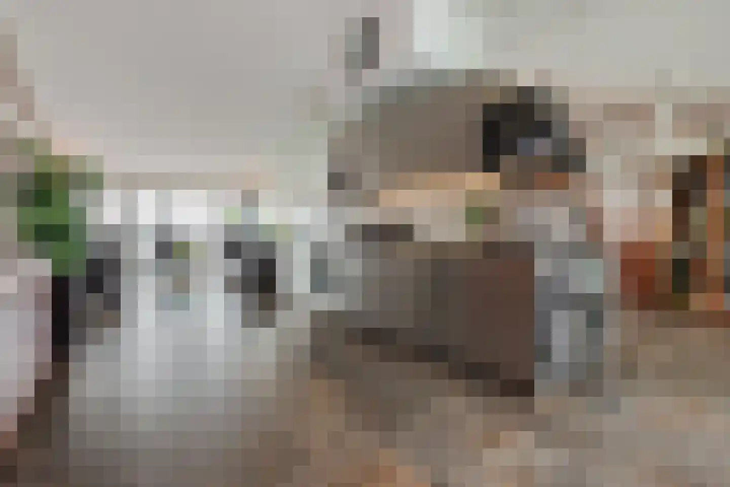 Silodam 246 Amsterdam thumbnail 12