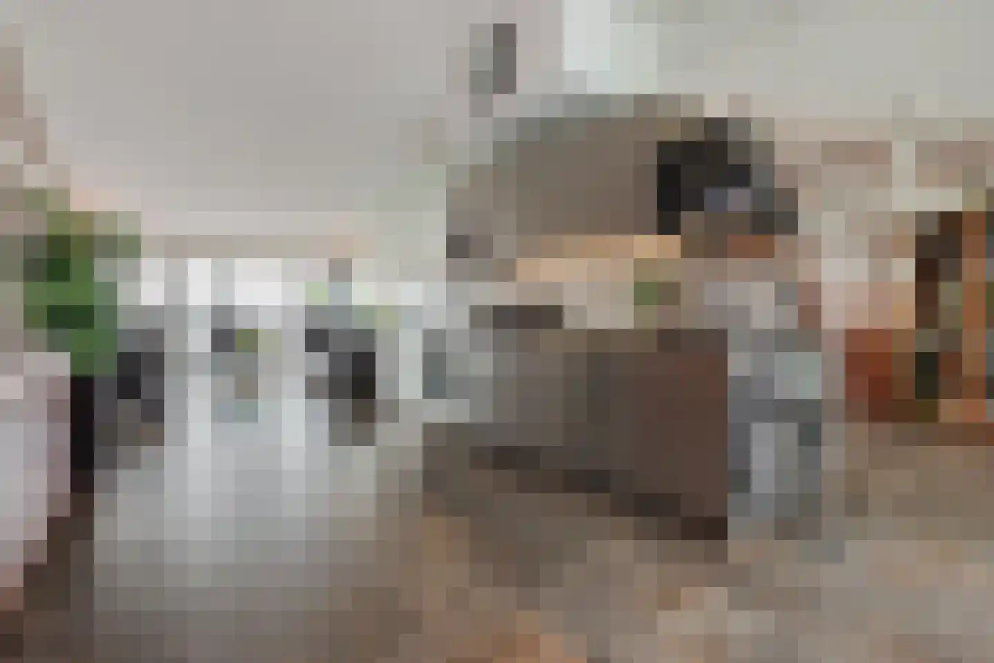 Silodam 246 Amsterdam thumbnail 12