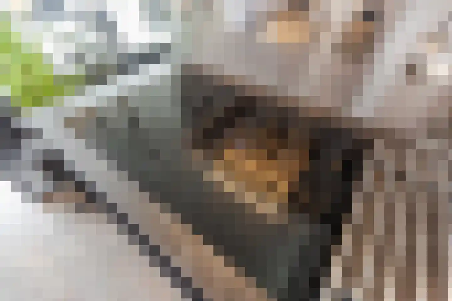 Silodam 246 Amsterdam thumbnail 15