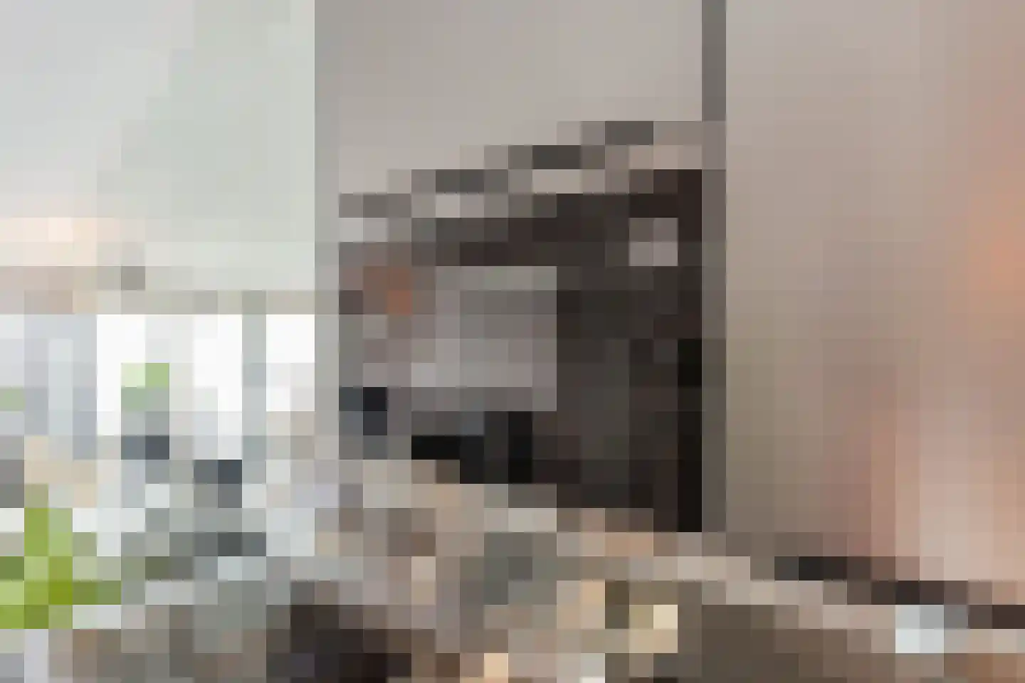 Silodam 246 Amsterdam thumbnail 16