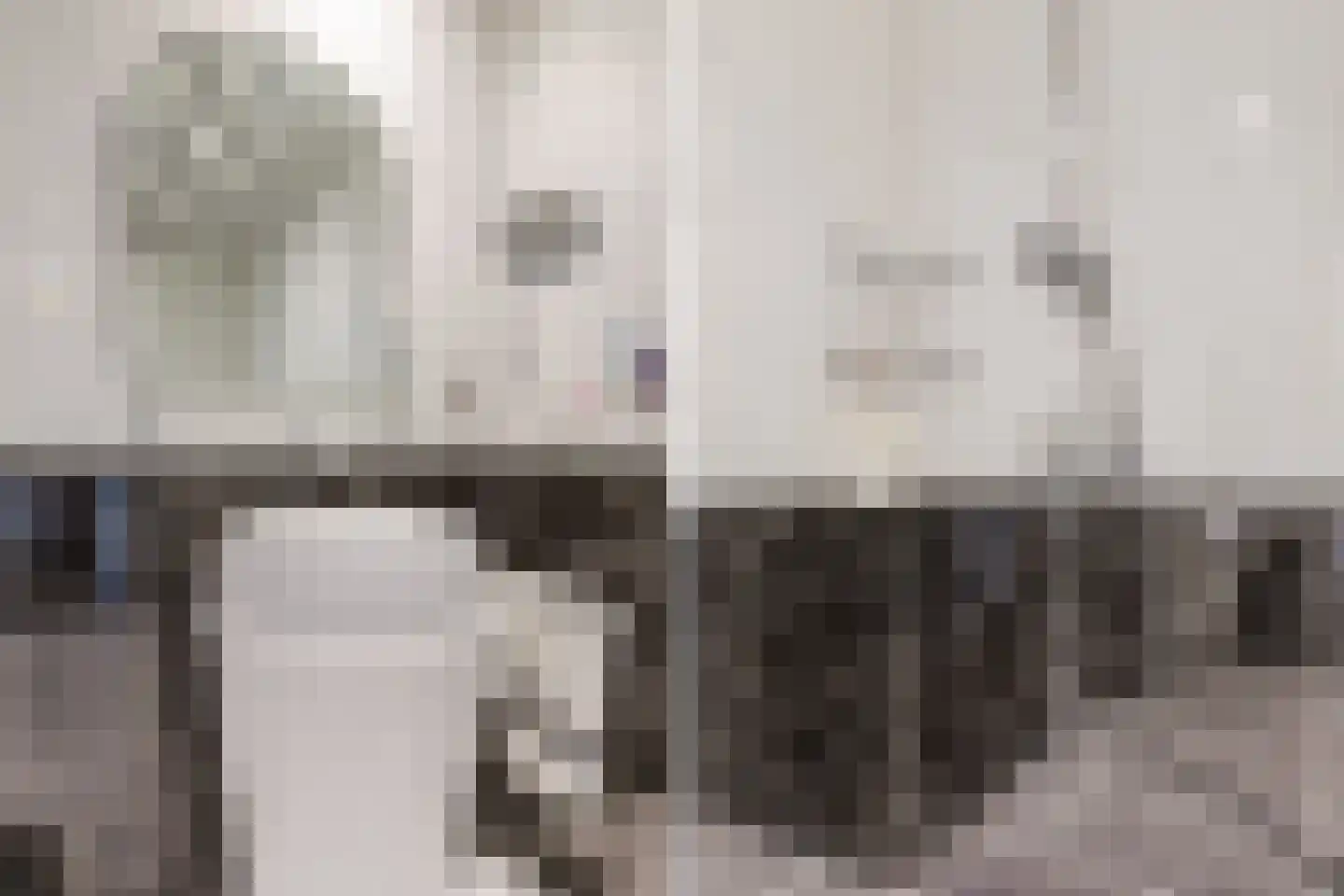 Silodam 246 Amsterdam thumbnail 23