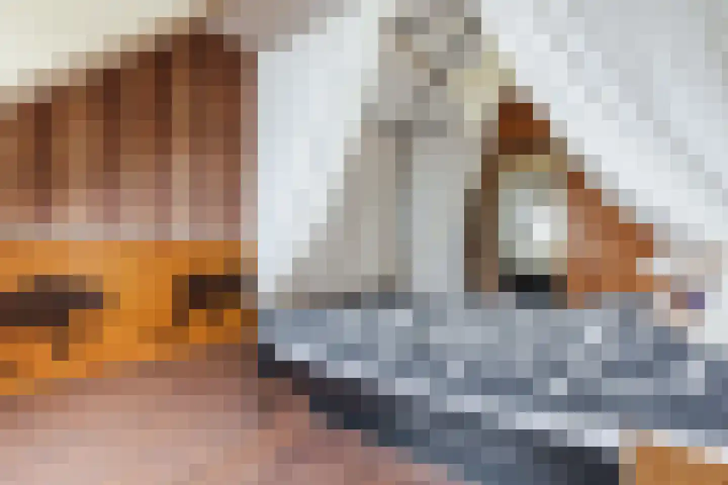 Silodam 246 Amsterdam thumbnail 26