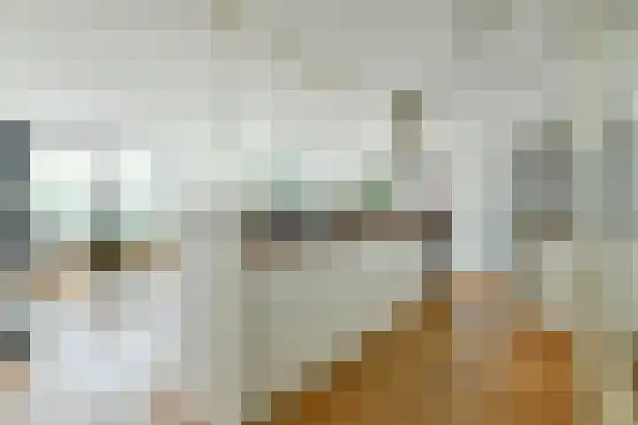 Silodam 335 Amsterdam thumbnail 6