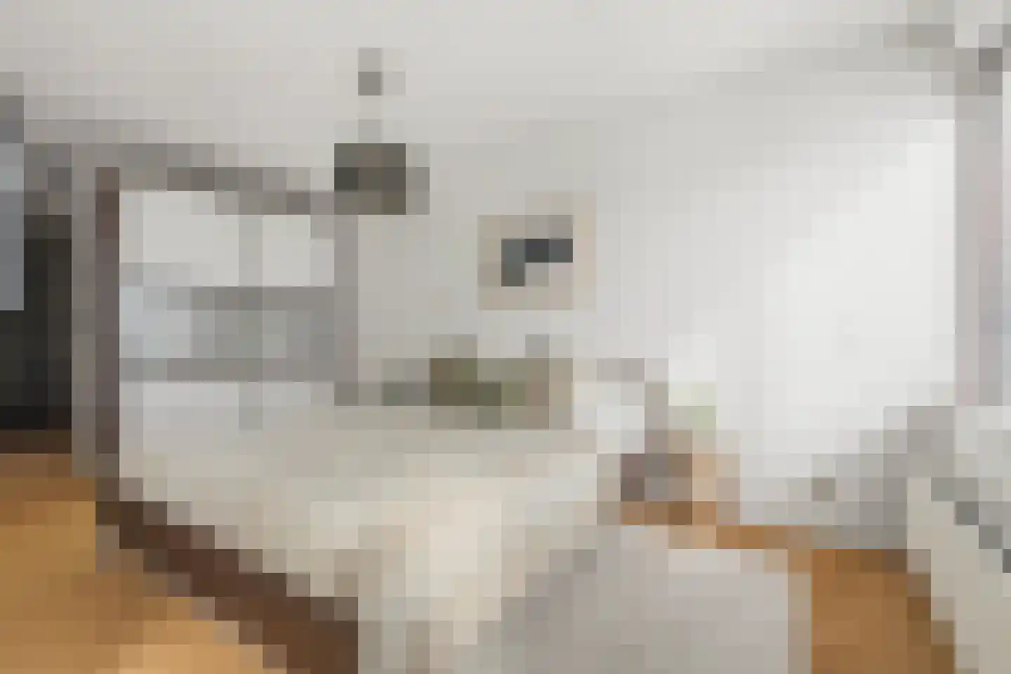 Silodam 337 Amsterdam thumbnail 14
