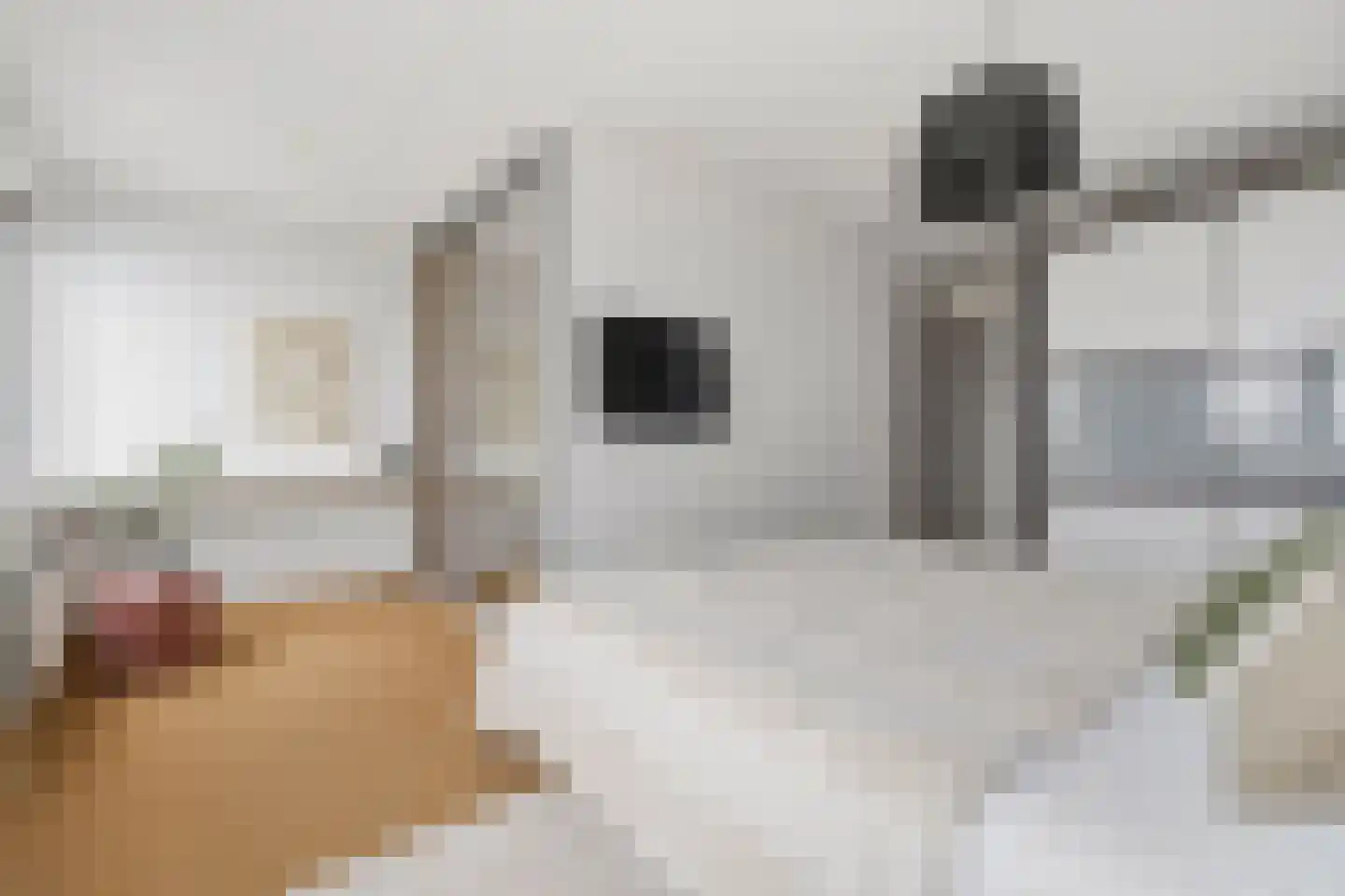 Silodam 337 Amsterdam thumbnail 15