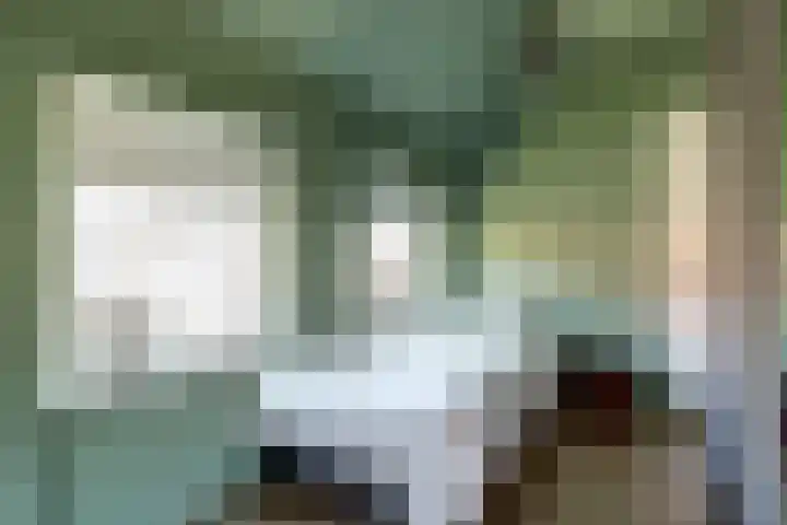 Silodam 355 Amsterdam thumbnail 13