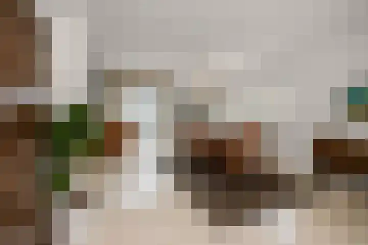 Silodam 355 Amsterdam foto 2