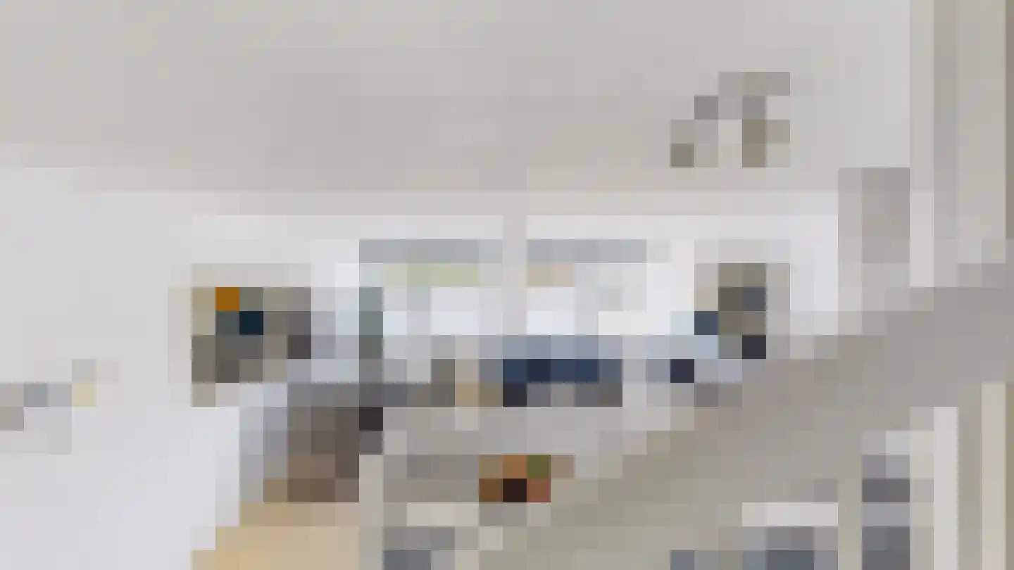 Silodam 447 Amsterdam thumbnail 12