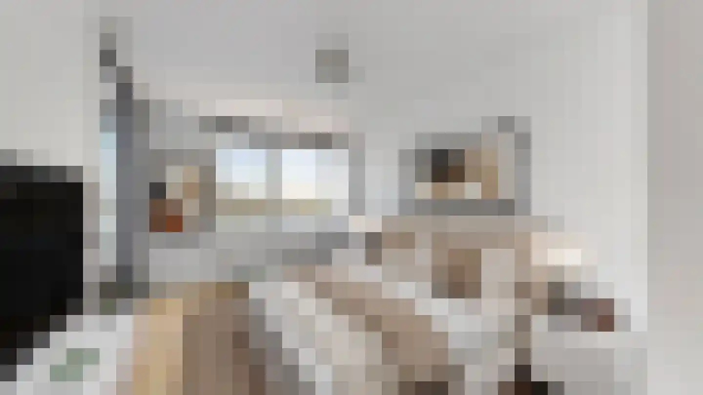 Silodam 447 Amsterdam thumbnail 13