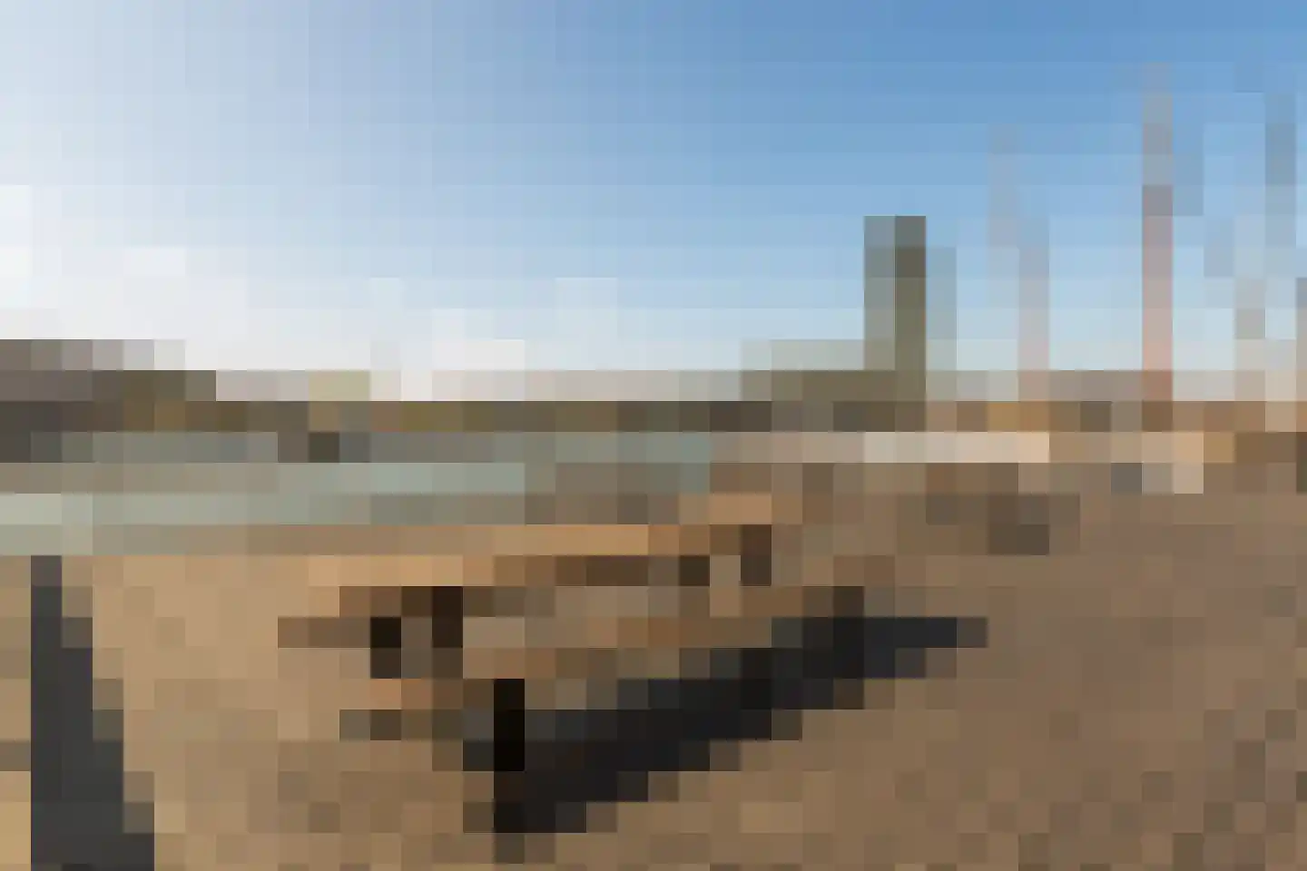 Silodam 90 Amsterdam thumbnail 41