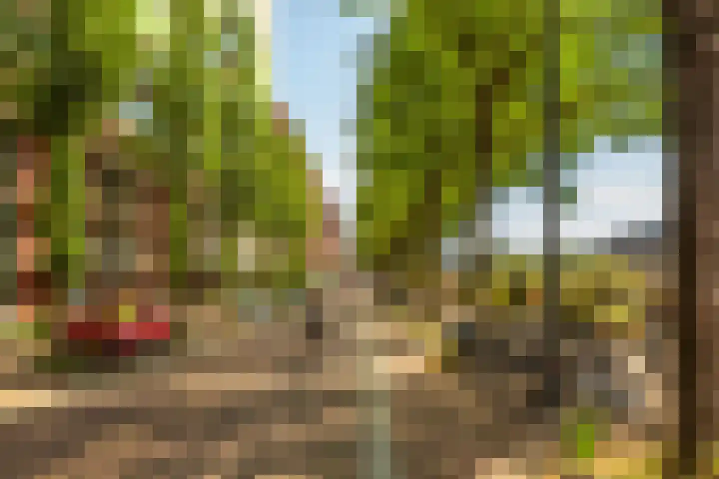 Silodam 90 Amsterdam thumbnail 46