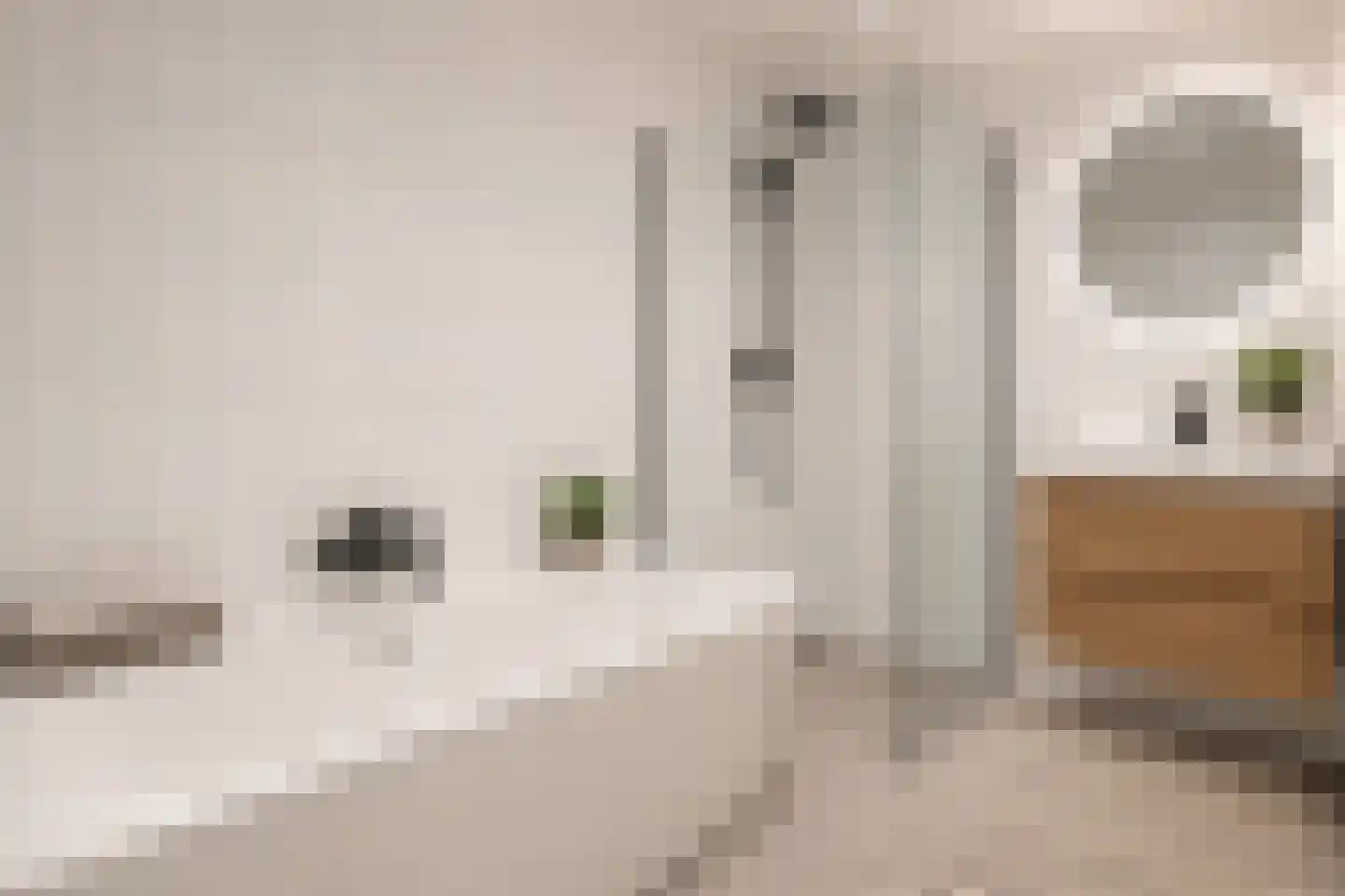 Silodam 90 Amsterdam thumbnail 53