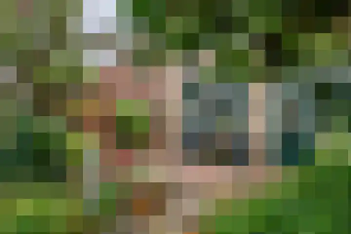 Silvanusstraat 14 Kesteren thumbnail 16