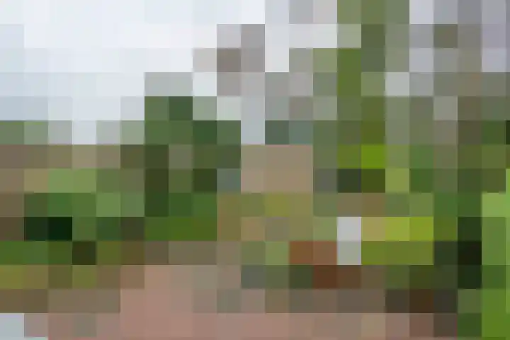 Silvanusstraat 14 Kesteren thumbnail 17