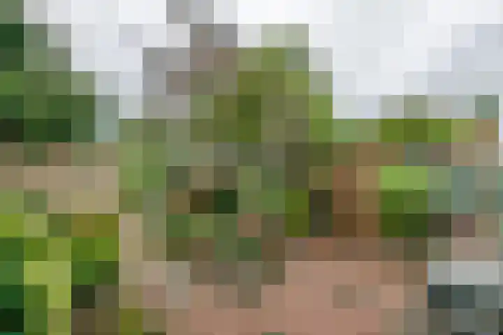 Silvanusstraat 14 Kesteren thumbnail 18