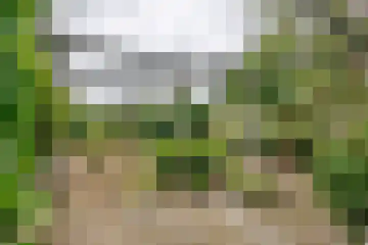 Silvanusstraat 14 Kesteren thumbnail 19