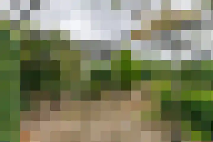 Silvanusstraat 14 Kesteren thumbnail 20