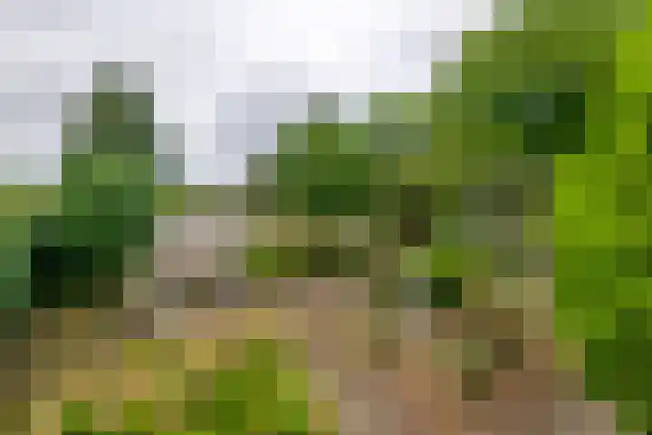Silvanusstraat 14 Kesteren thumbnail 21
