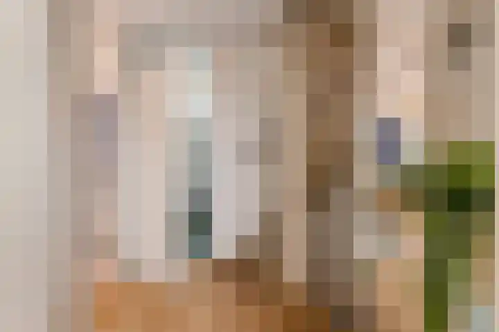 Silvanusstraat 14 Kesteren thumbnail 33