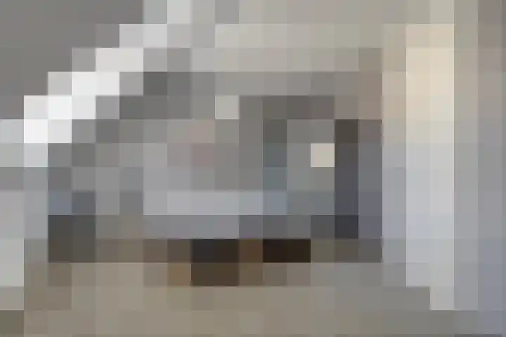 Silvanusstraat 7 Kesteren thumbnail 14