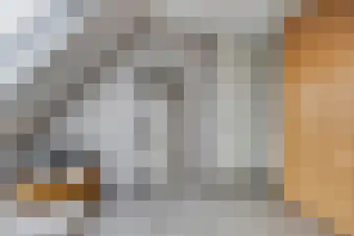 Silvanusstraat 7 Kesteren thumbnail 17