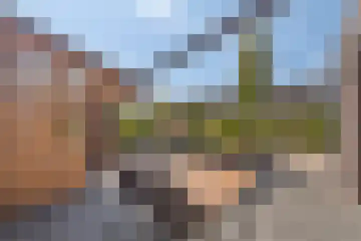 Silvanusstraat 7 Kesteren thumbnail 23
