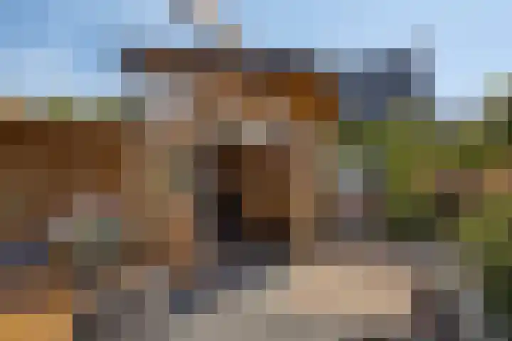Silvanusstraat 7 Kesteren thumbnail 24