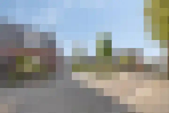 Silvanusstraat 7 Kesteren thumbnail 28