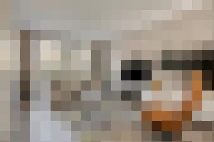 Silvanusstraat 7 Kesteren thumbnail 4