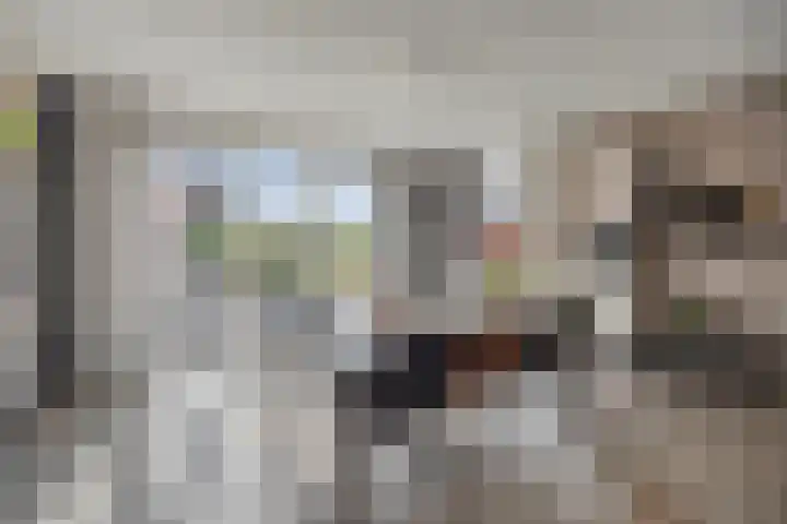 Silvanusstraat 7 Kesteren thumbnail 8