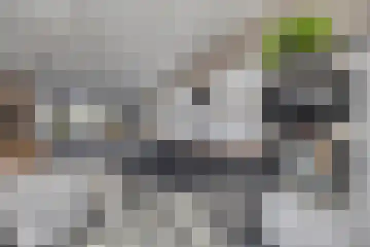 Silvanusstraat 7 Kesteren thumbnail 9
