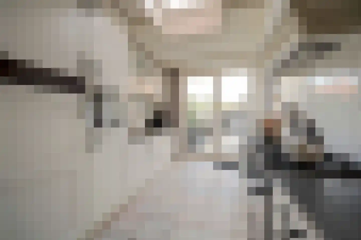 Silverkamp 11 Hendrik-Ido-Ambacht thumbnail 20