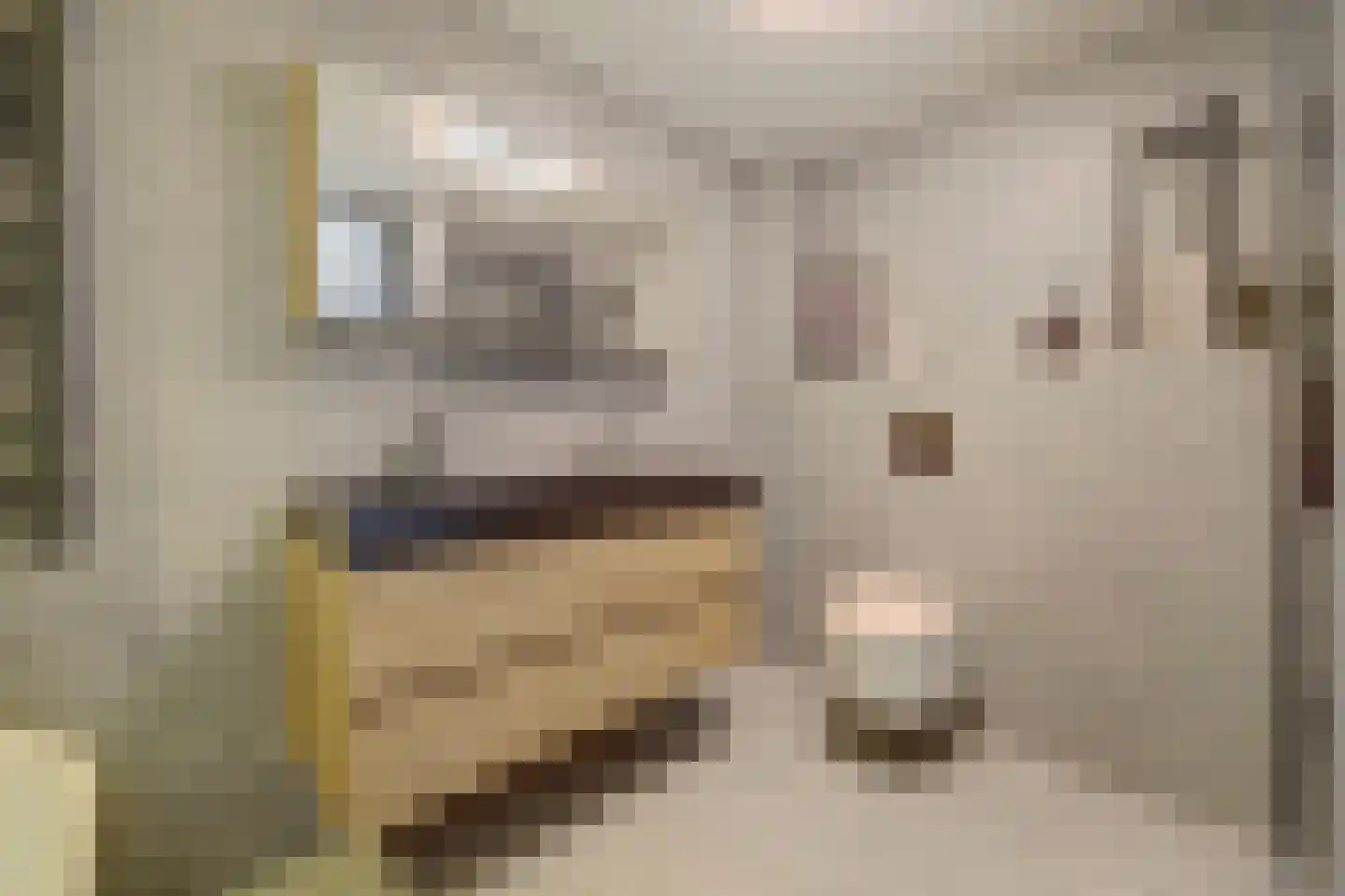 Silverkamp 11 Hendrik-Ido-Ambacht thumbnail 6