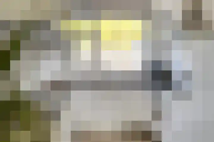 Silverkamp 24 Hendrik-Ido-Ambacht thumbnail 10