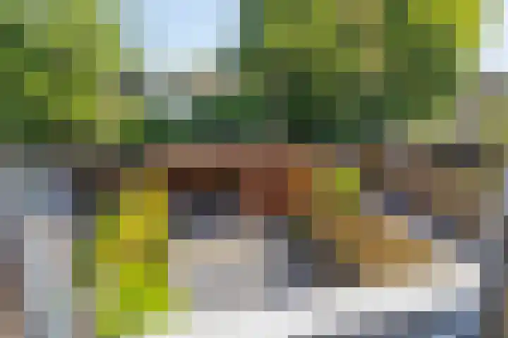 Silverkamp 24 Hendrik-Ido-Ambacht thumbnail 20