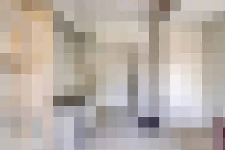 Silverkamp 24 Hendrik-Ido-Ambacht thumbnail 23