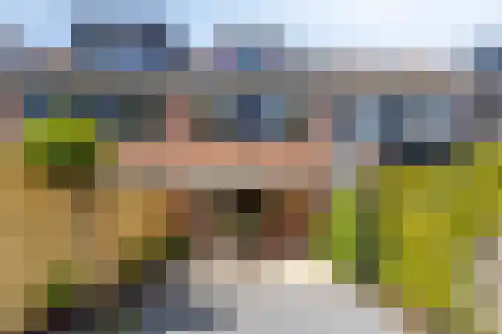 Silverkamp 24 Hendrik-Ido-Ambacht thumbnail 25