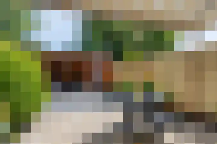 Silverkamp 24 Hendrik-Ido-Ambacht thumbnail 27