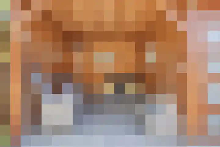 Silverkamp 24 Hendrik-Ido-Ambacht thumbnail 28