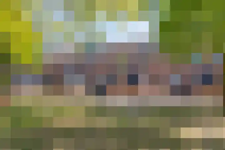 Silverkamp 24 Hendrik-Ido-Ambacht thumbnail 30