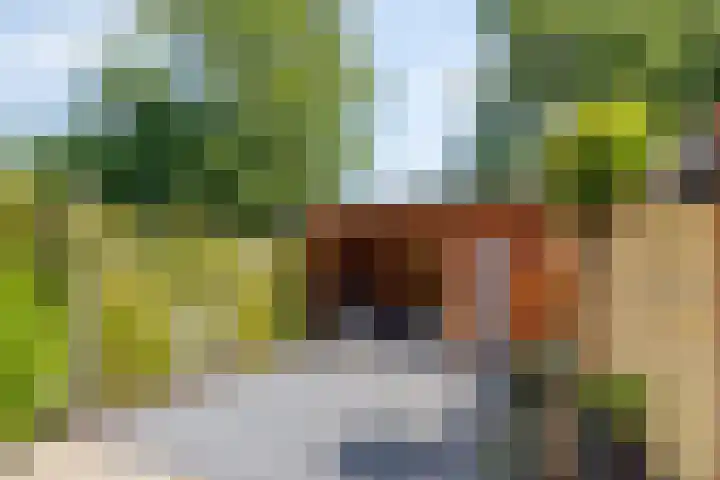 Silverkamp 24 Hendrik-Ido-Ambacht thumbnail 4