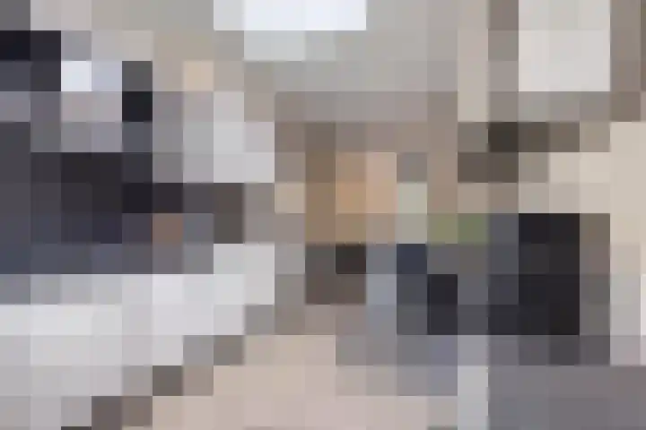Silverkamp 9 Hendrik-Ido-Ambacht thumbnail 10