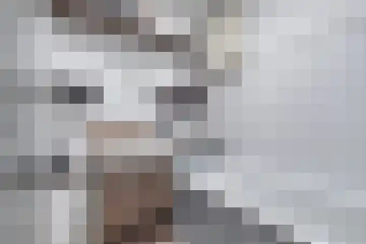 Silverkamp 9 Hendrik-Ido-Ambacht thumbnail 13